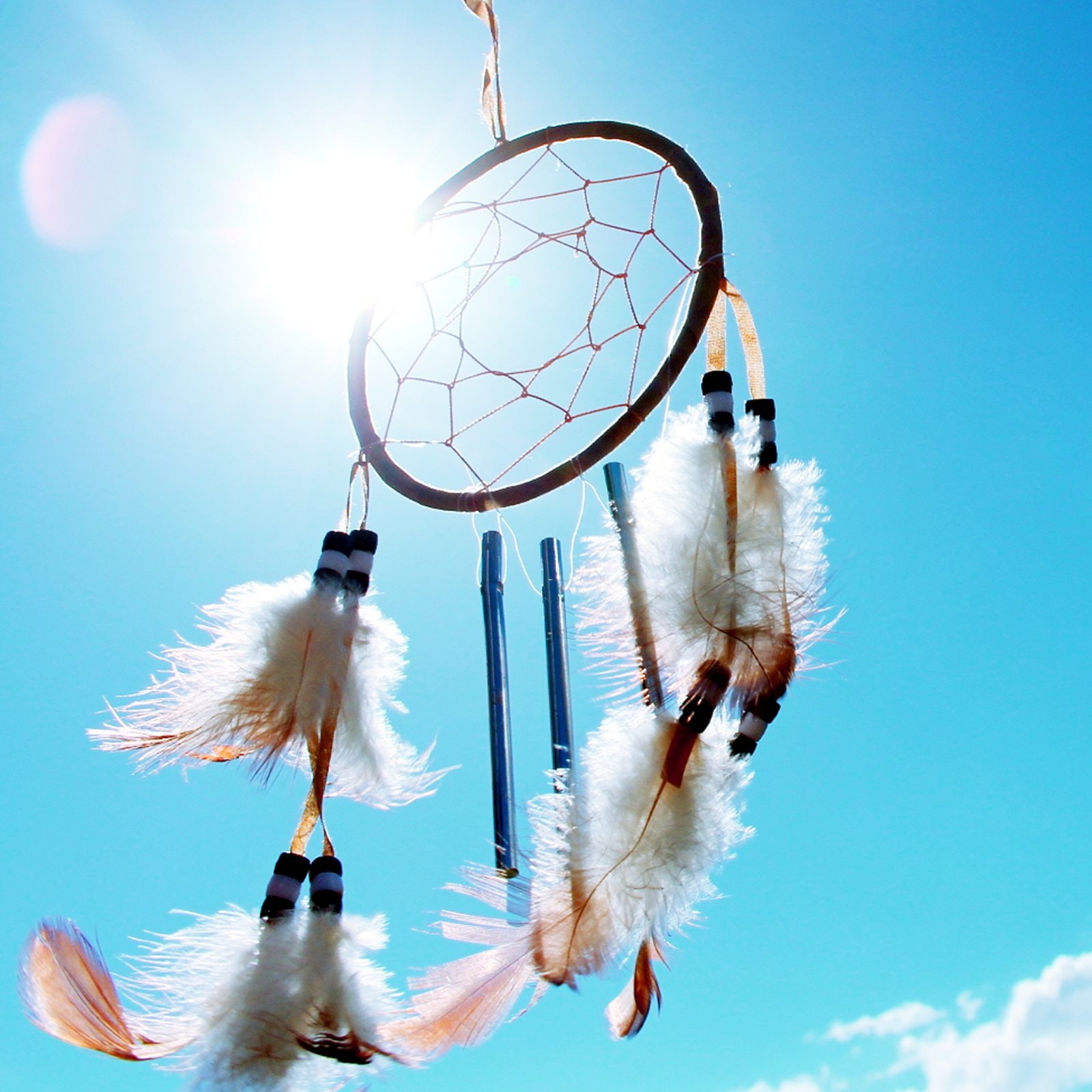 Leaders, Dreaming Matters